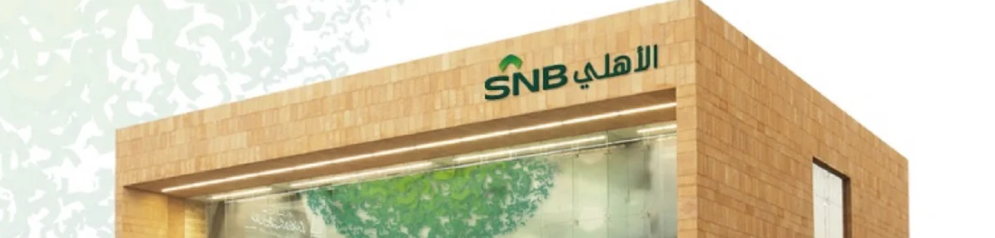 تأسيس وتشغيل مؤسسات وشركات الريادة الاجتماعية